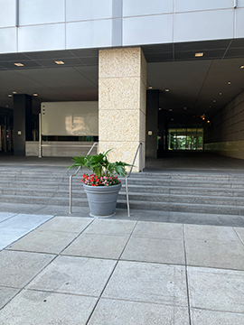A picture of a staircase and a escalator bay under a building. There are stairs running across the picture from left to right inbetween the foreground and background, along with a potted plant in the center of the image. There is a coloumn behind the potted plant. In the background there is an open space covered by the rest of the building that is at the top of the image.